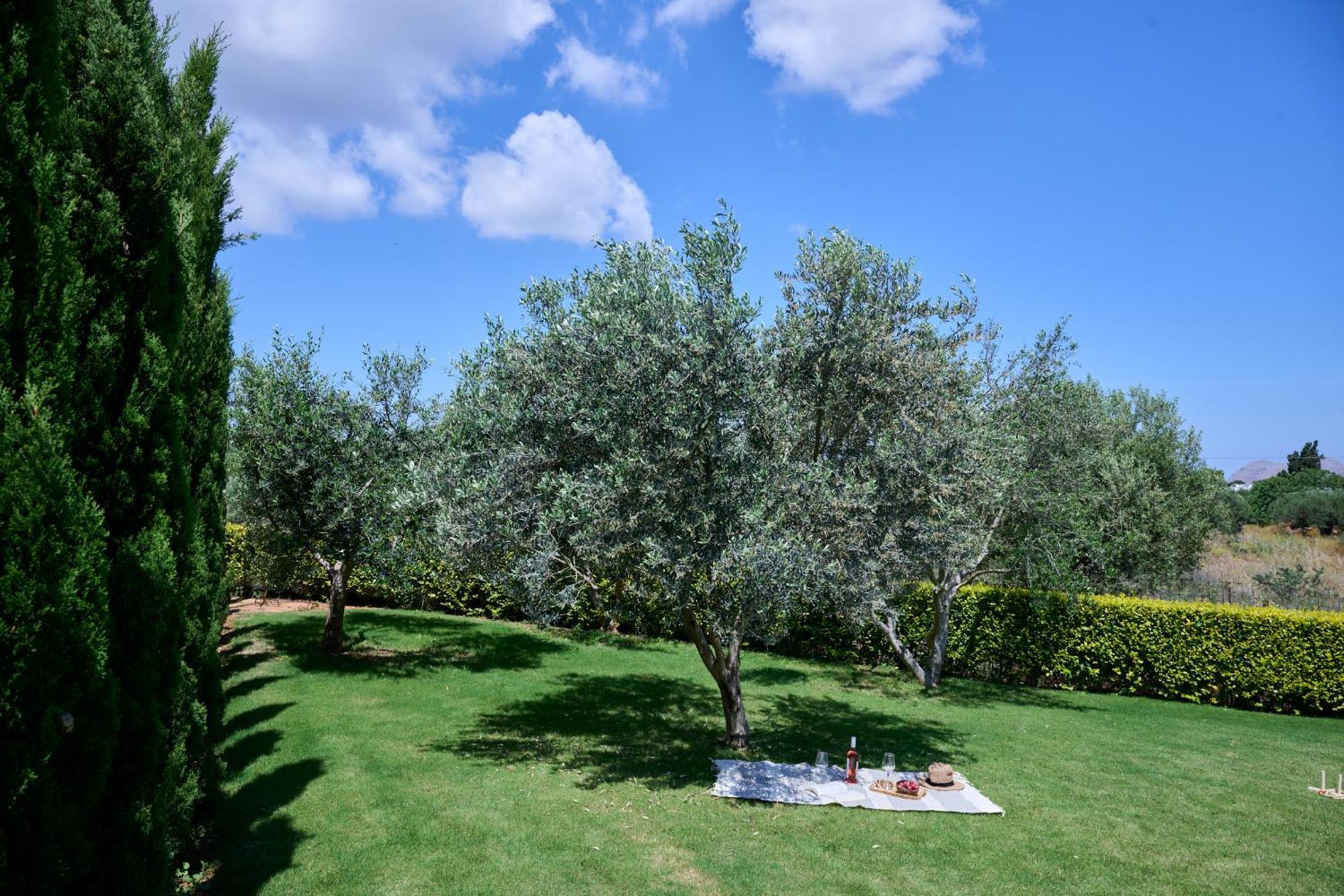 Kyamon Estate Luxury Villa Chania  Exterior photo