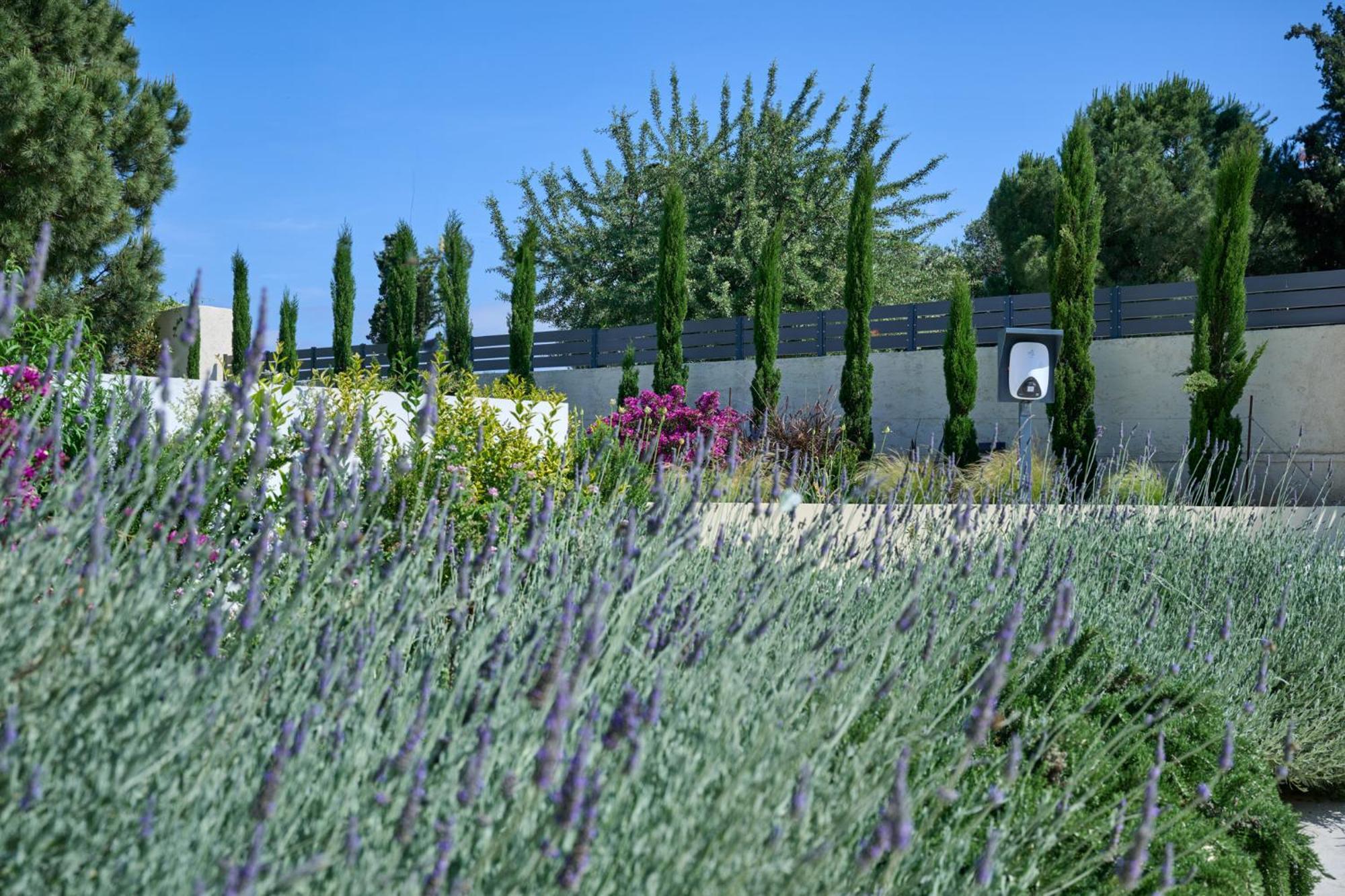 Kyamon Estate Luxury Villa Chania  Exterior photo